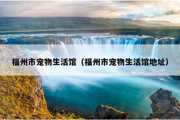 福州市宠物生活馆（福州市宠物生活馆地址）