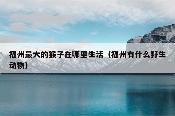 福州最大的猴子在哪里生活（福州有什么野生动物）