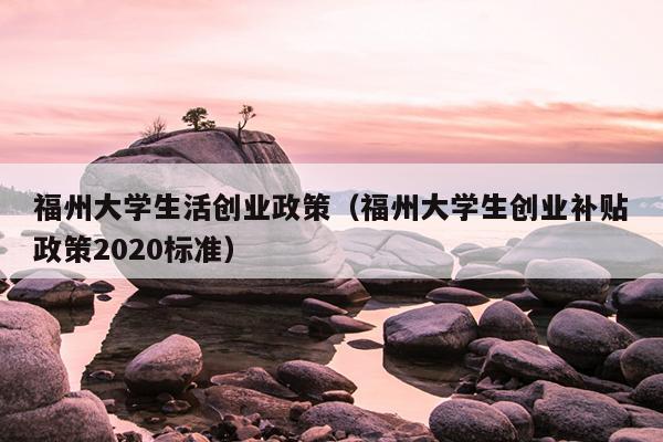 福州大学生活创业政策（福州大学生创业补贴政策2020标准）