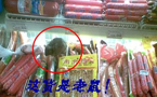 老鼠与食品同住