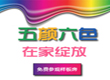 五颜六色在家绽放