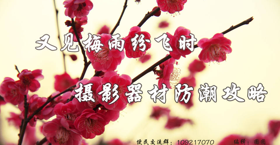 又见梅雨纷飞时 摄影器材防潮攻略