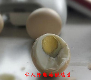 令人汗颜的假鸡蛋