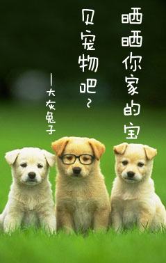 晒晒你家的宝贝宠物吧~