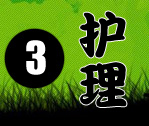兔子的清洁和护理