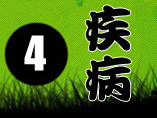 兔子的常见疾病和防治方法（宠友必看）