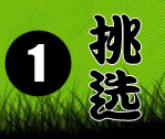 教你如何挑选兔子