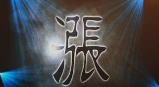“涨”字当选海峡两岸“2010年度汉字”