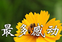 平凡的人们给我最多的感动