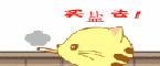 买盐的孩子上辈子都是天使